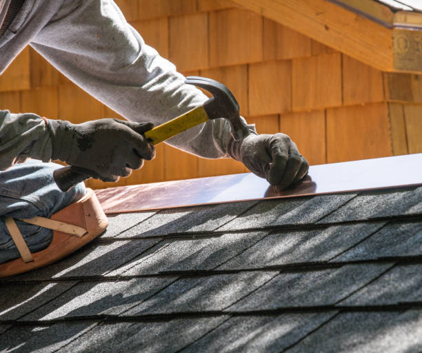 Roof Gutter Cleaning in Lagrange, OH